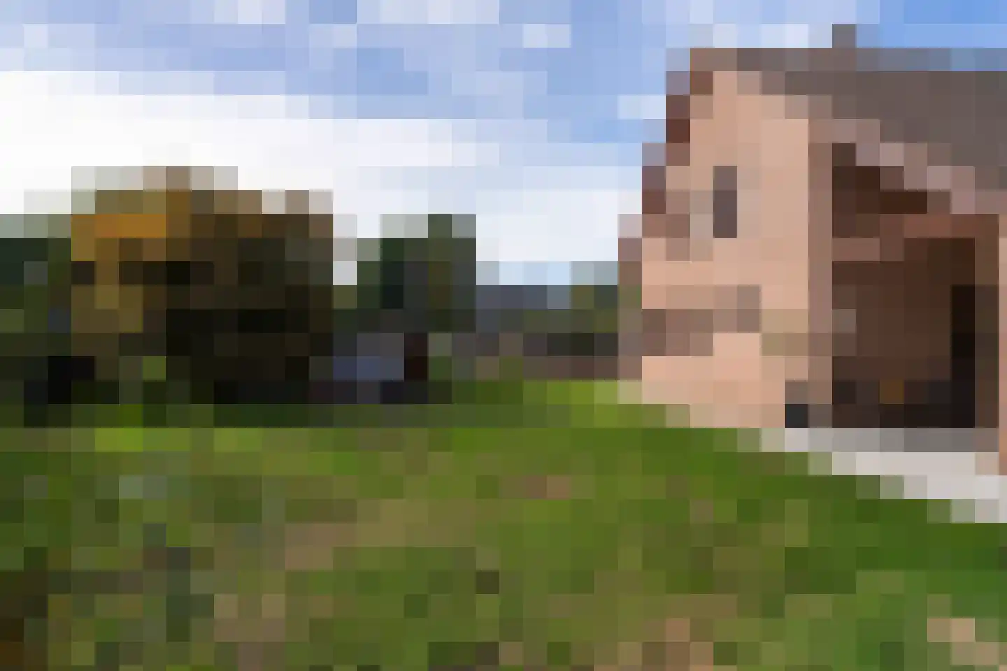 Vosseweg 23 Weert thumbnail 60