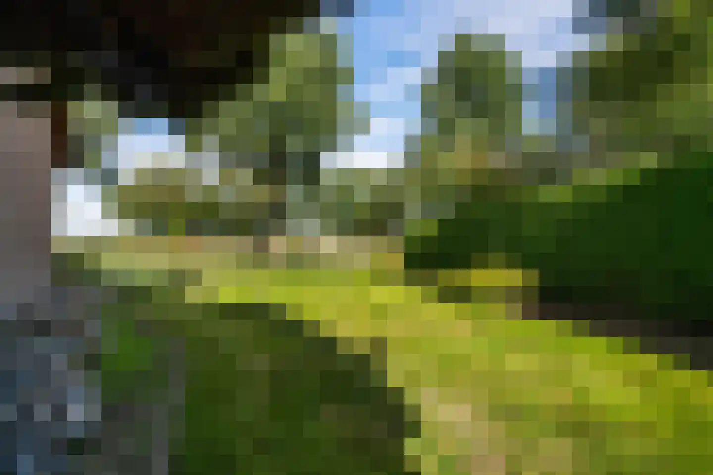 Vosseweg 23 Weert thumbnail 71