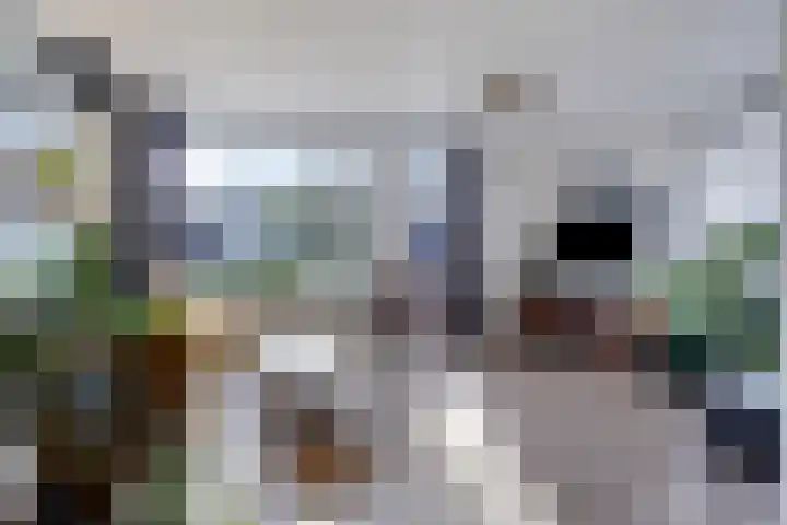 Vosseweide 20 Veghel thumbnail 11