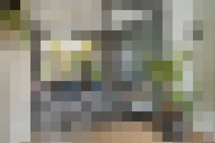Vosseweide 20 Veghel thumbnail 14