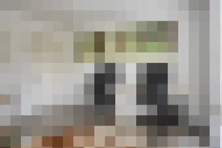 Vosseweide 20 Veghel thumbnail 18