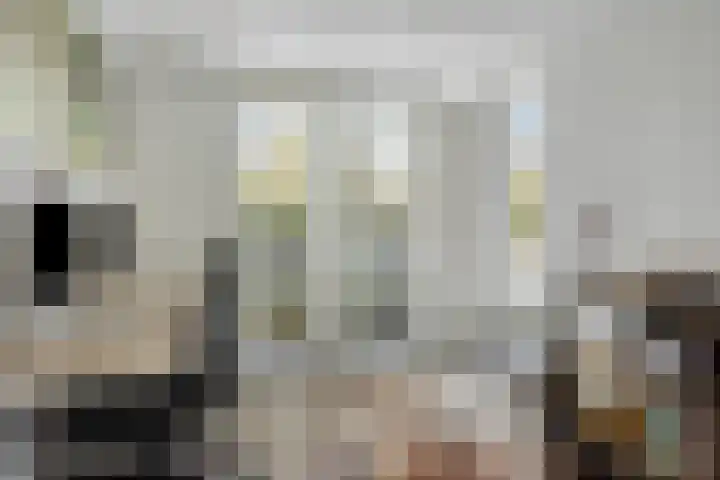 Vosseweide 20 Veghel thumbnail 19
