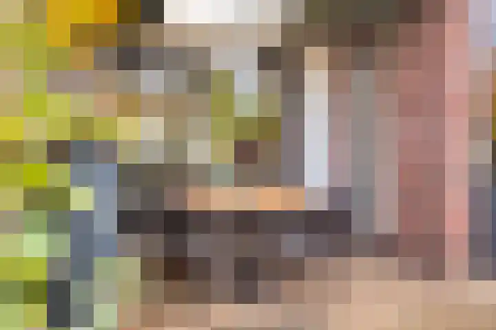 Vosseweide 20 Veghel thumbnail 20