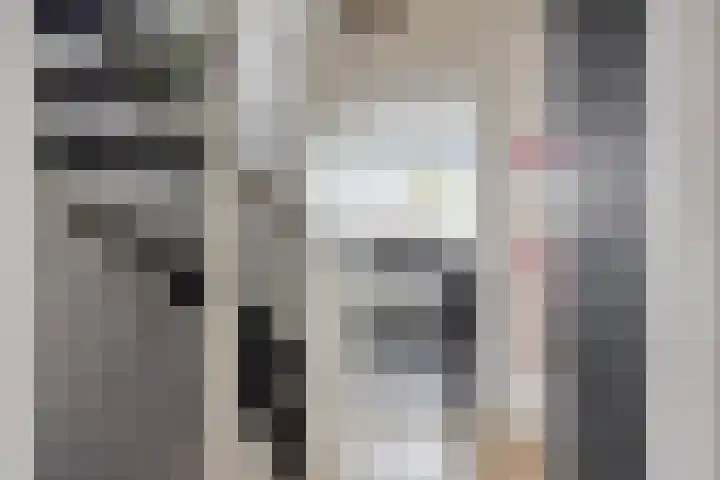 Vosseweide 20 Veghel thumbnail 21