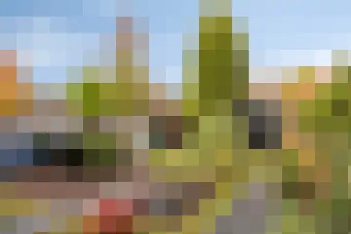 Vosseweide 20 Veghel thumbnail 36