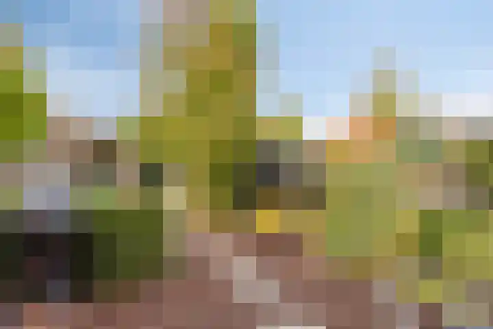 Vosseweide 20 Veghel thumbnail 37
