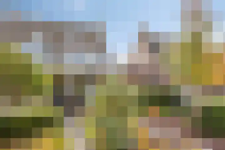 Vosseweide 20 Veghel thumbnail 38