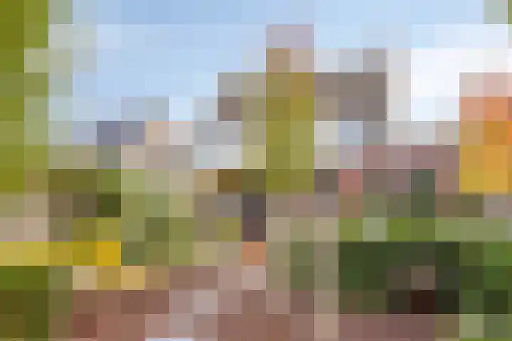Vosseweide 20 Veghel thumbnail 39