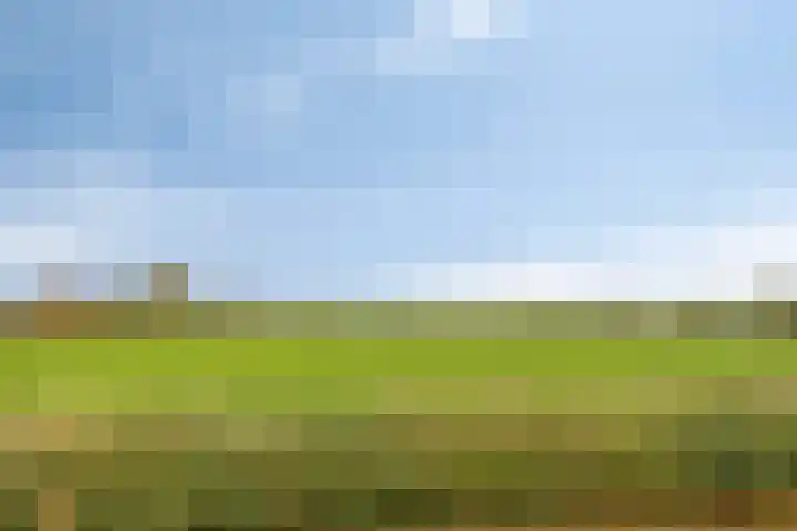 Vosseweide 20 Veghel thumbnail 40