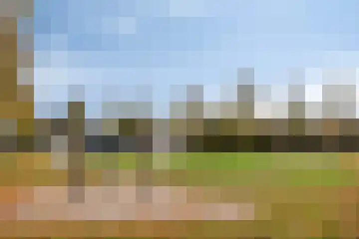 Vosseweide 20 Veghel thumbnail 41