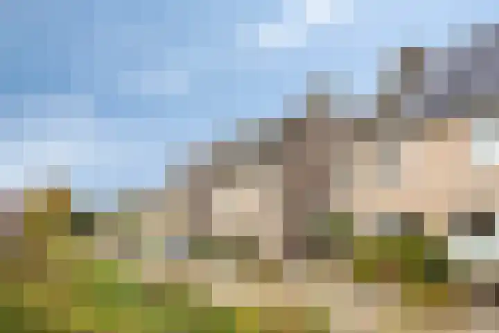 Vosseweide 20 Veghel thumbnail 8