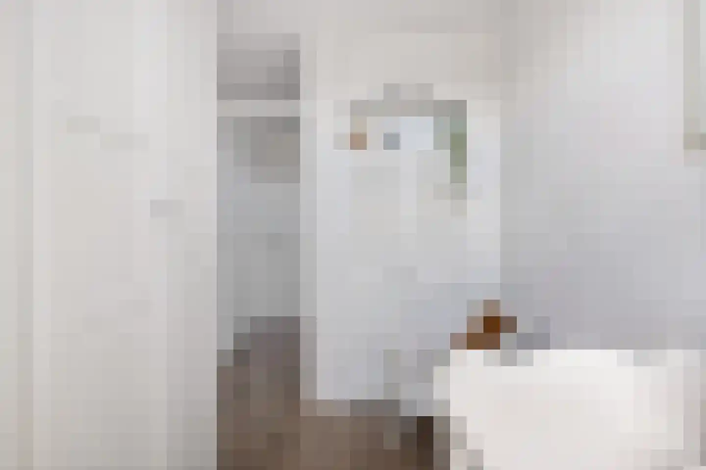 Vosseweide 22 Veghel thumbnail 27