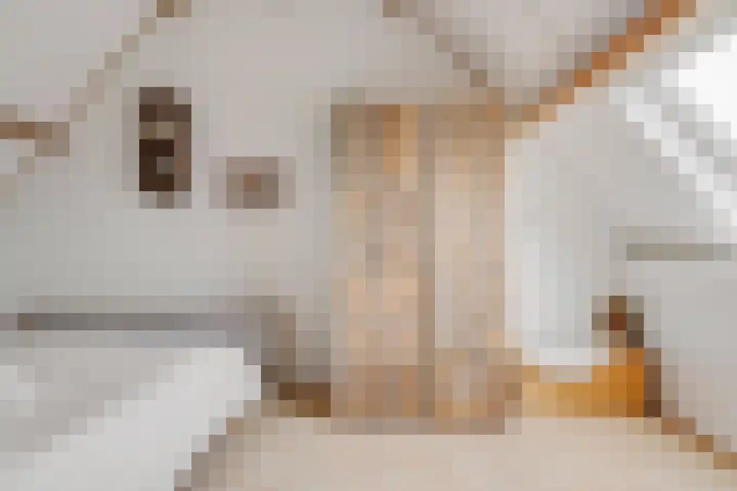 Vosseweide 22 Veghel thumbnail 35