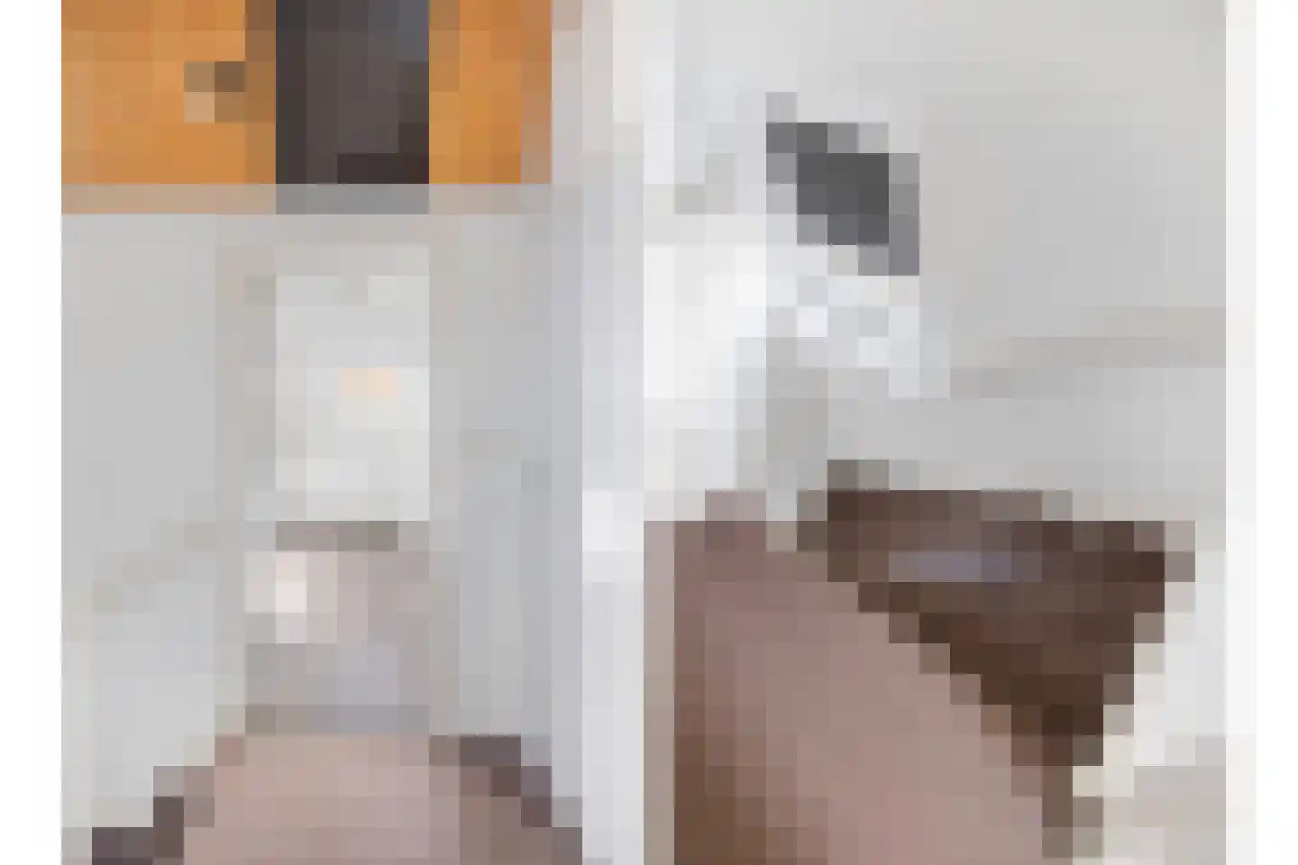 Vosseweide 22 Veghel thumbnail 38
