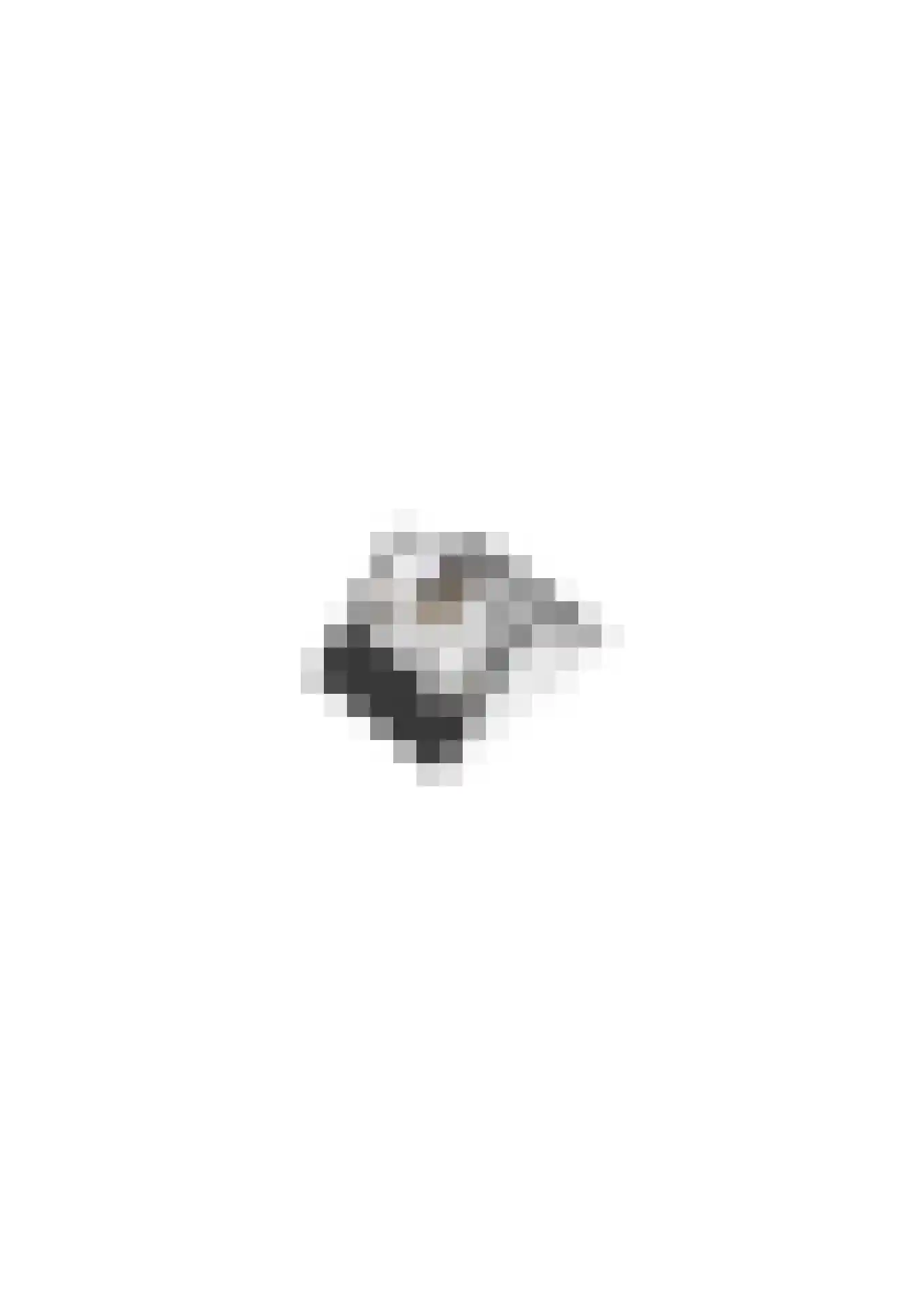 Vosseweide 22 Veghel thumbnail 55