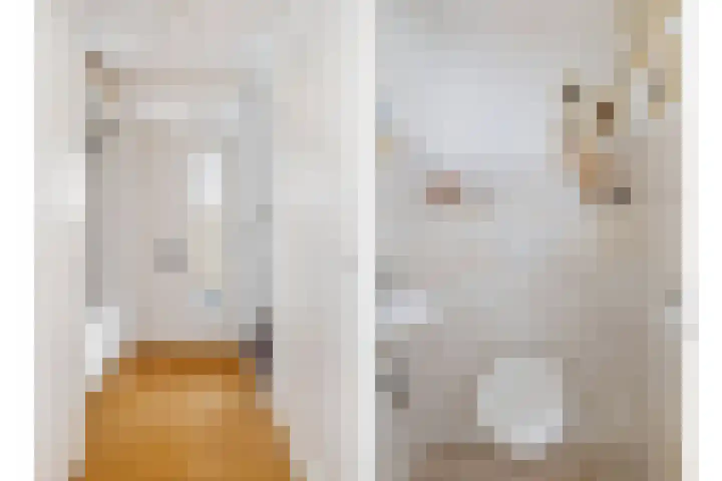 Vosseweide 22 Veghel thumbnail 6