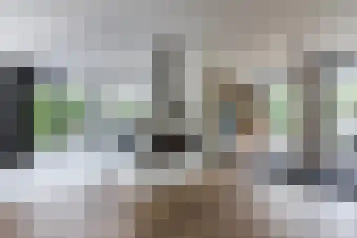 Vosseweide 4 Veghel thumbnail 10