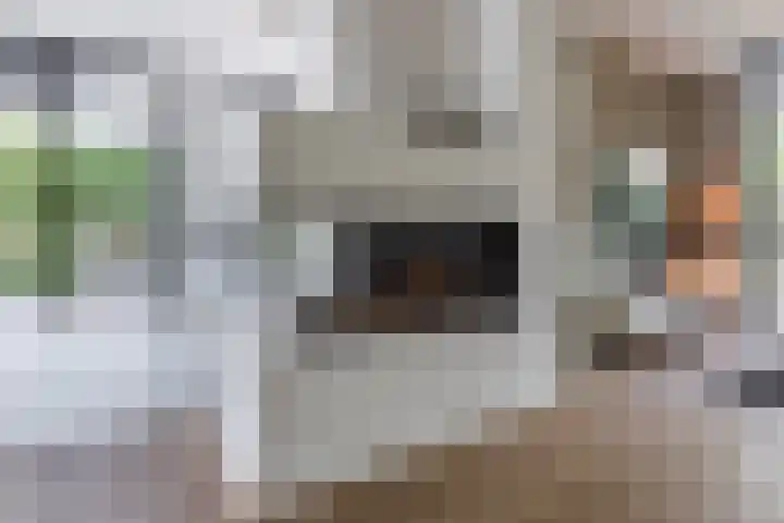 Vosseweide 4 Veghel thumbnail 11