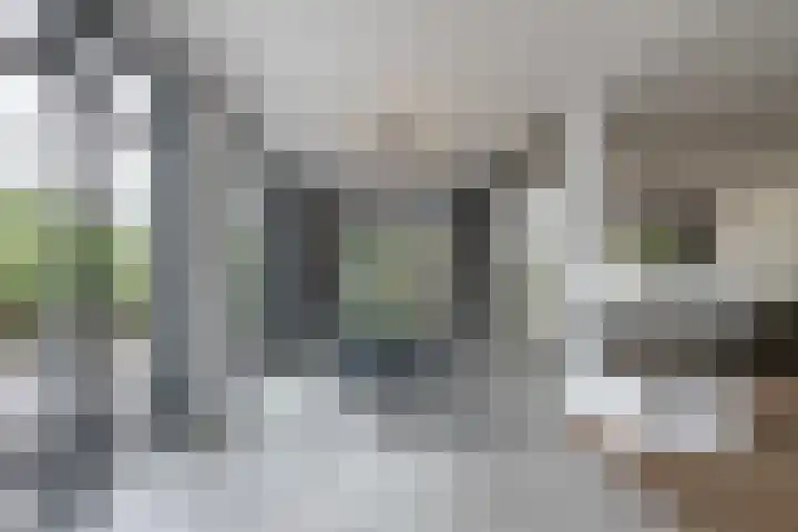 Vosseweide 4 Veghel thumbnail 13