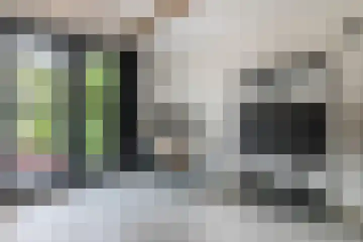 Vosseweide 4 Veghel thumbnail 17