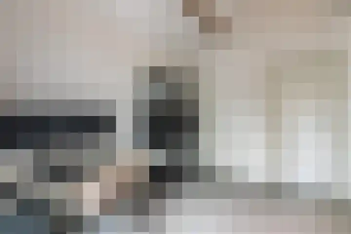 Vosseweide 4 Veghel thumbnail 18