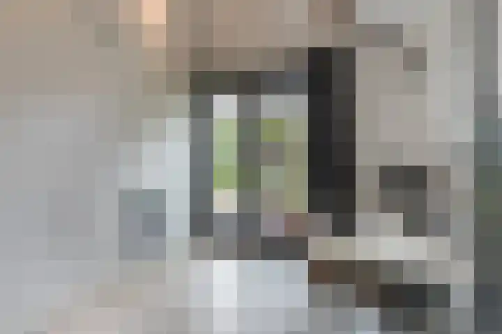 Vosseweide 4 Veghel thumbnail 19
