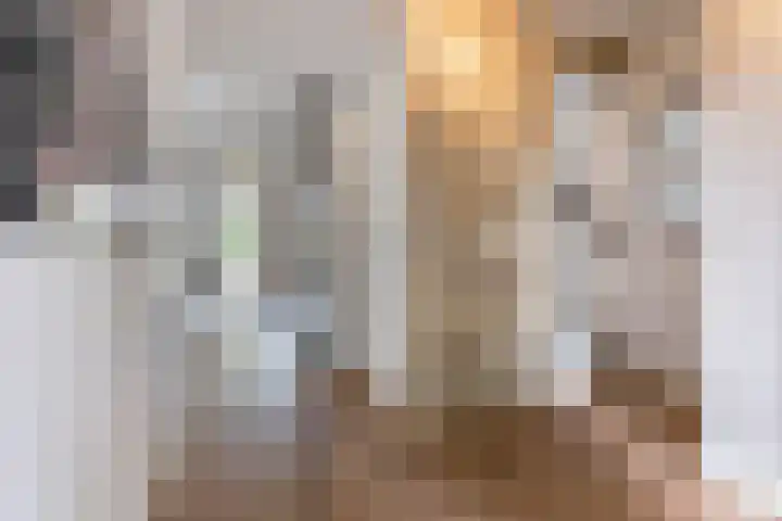Vosseweide 4 Veghel thumbnail 20