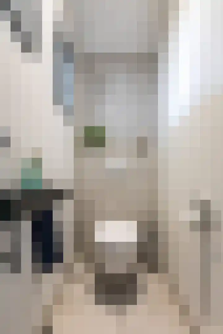 Vosseweide 4 Veghel thumbnail 23