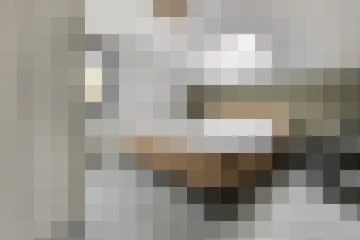 Vosseweide 4 Veghel thumbnail 26