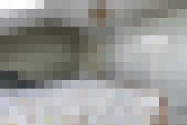 Vosseweide 4 Veghel thumbnail 28