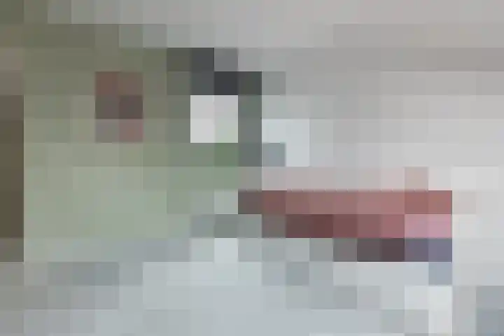 Vosseweide 4 Veghel thumbnail 32