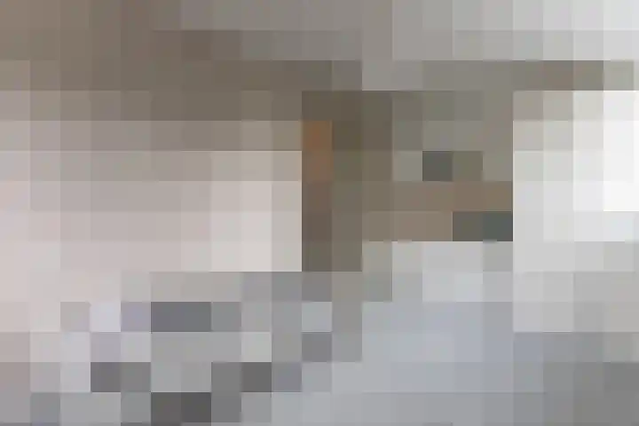 Vosseweide 4 Veghel thumbnail 35