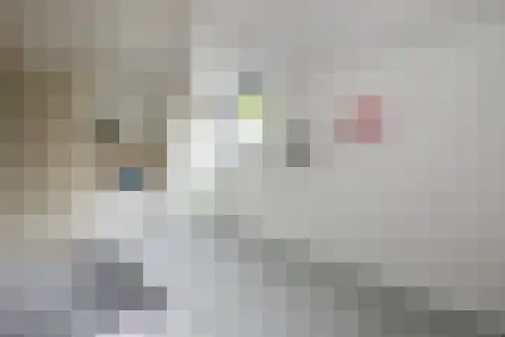 Vosseweide 4 Veghel thumbnail 36