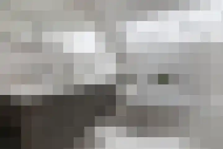 Vosseweide 4 Veghel thumbnail 37