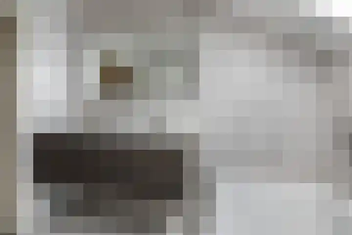 Vosseweide 4 Veghel thumbnail 38