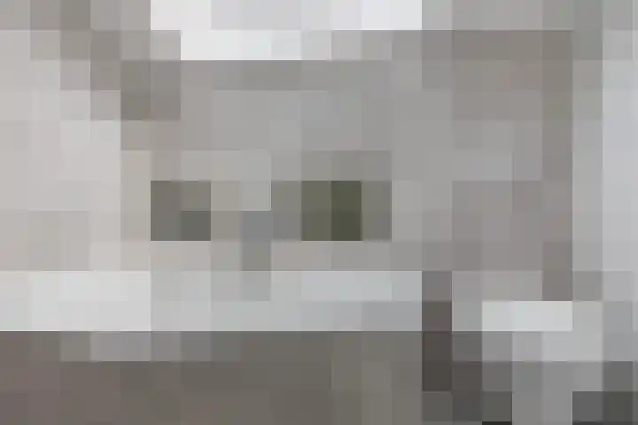 Vosseweide 4 Veghel thumbnail 39