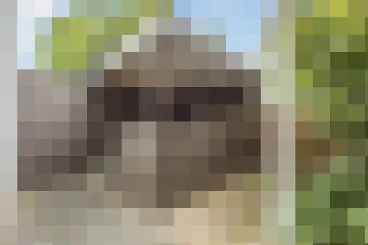 Vosseweide 4 Veghel thumbnail 41