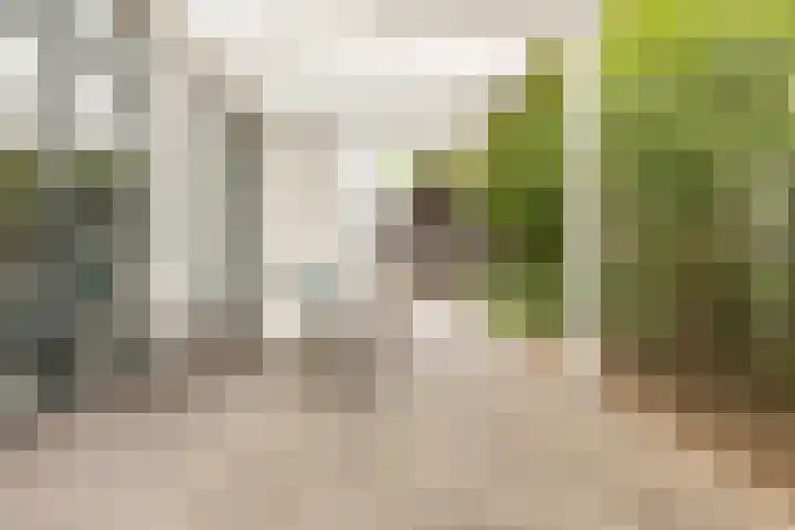 Vosseweide 4 Veghel thumbnail 42