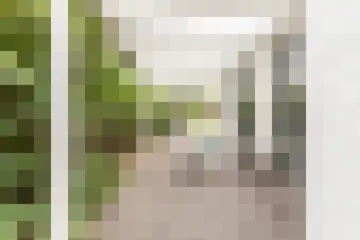 Vosseweide 4 Veghel thumbnail 43