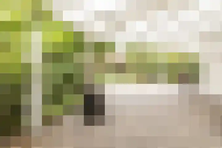 Vosseweide 4 Veghel thumbnail 44