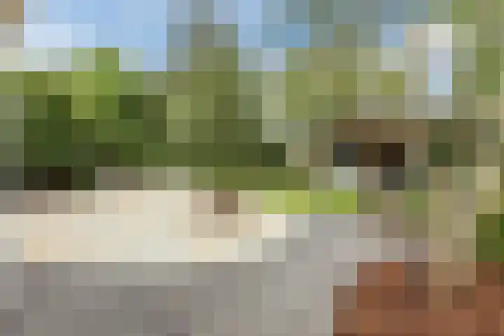 Vosseweide 4 Veghel thumbnail 46