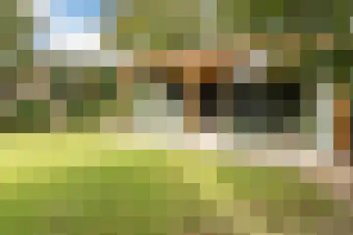 Vosseweide 4 Veghel thumbnail 47