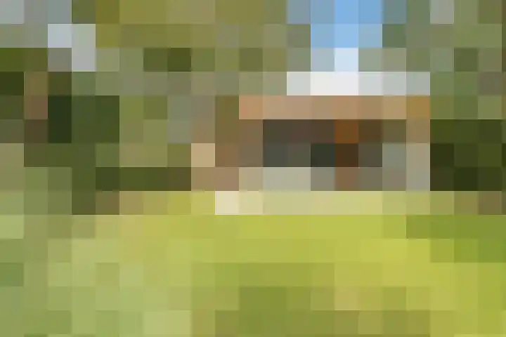 Vosseweide 4 Veghel thumbnail 48