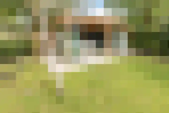 Vosseweide 4 Veghel thumbnail 49