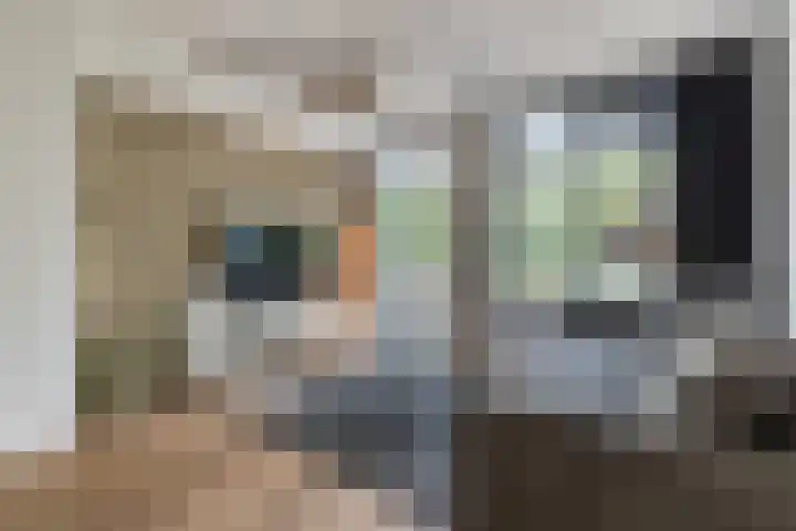 Vosseweide 4 Veghel thumbnail 5