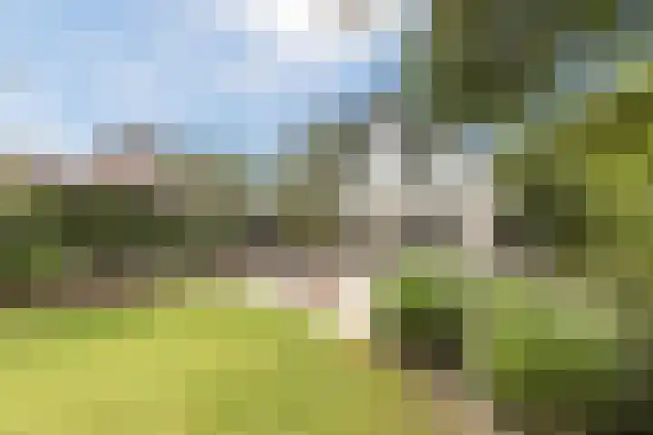 Vosseweide 4 Veghel thumbnail 51