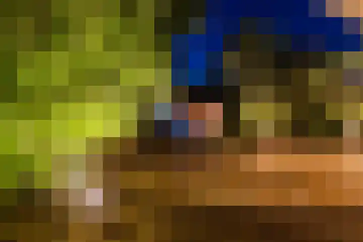 Vosseweide 4 Veghel thumbnail 55