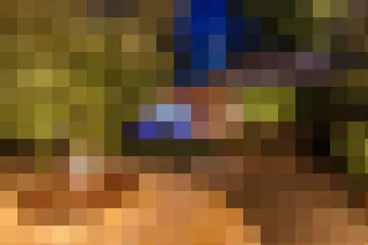 Vosseweide 4 Veghel thumbnail 56