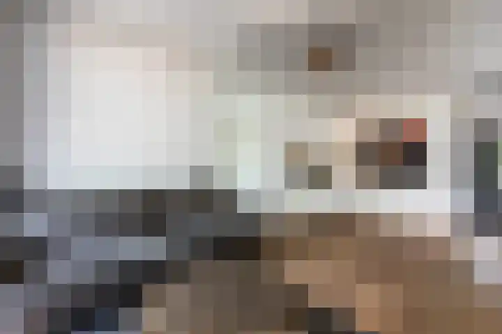 Vosseweide 4 Veghel thumbnail 6