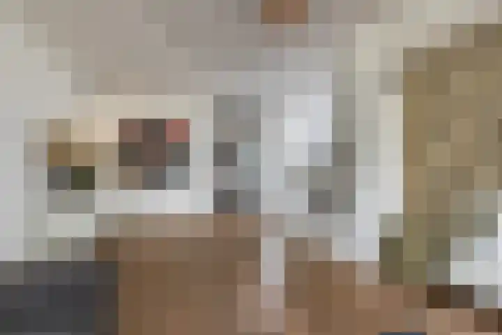 Vosseweide 4 Veghel thumbnail 7